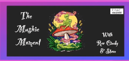 The Mushie Moment Podcast